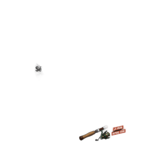 T-shirt pêche humour collectionneur - 47 cannes dans le garage